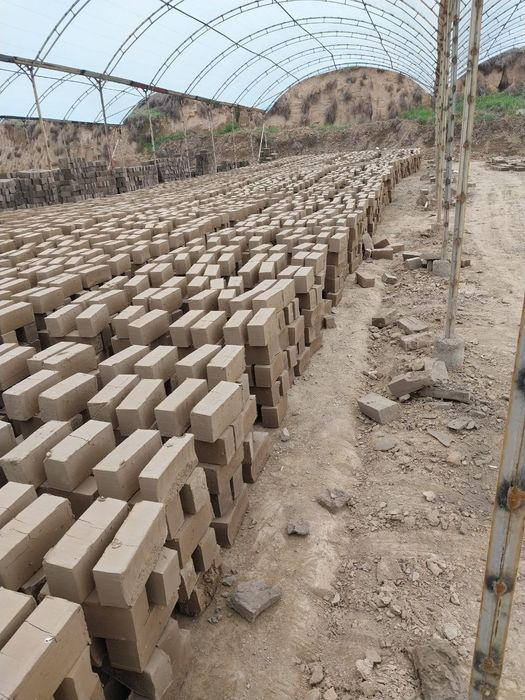 Pishgan va xom gisht bor