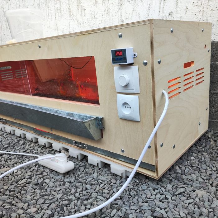 Брудер для цыплят