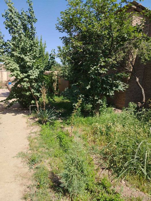 Термин Шахар  жужунгал махласи мактаб богча  маркет  бозорлар якин