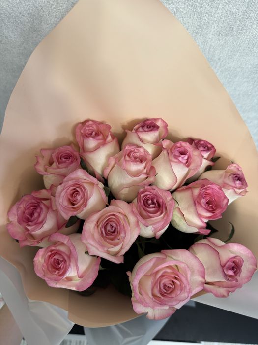 Продам розы 15 штук