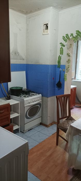 Айол ва кизларга