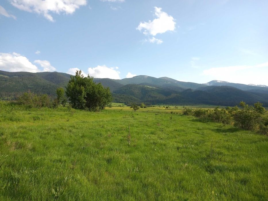 Земя в планински район - село Говедарци