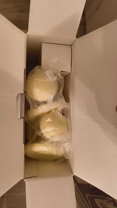 Pompa de san dublă electrica pentru muls