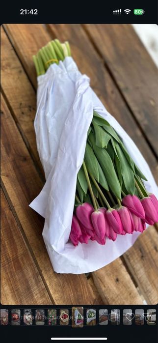 Тюльпаны предзаказ