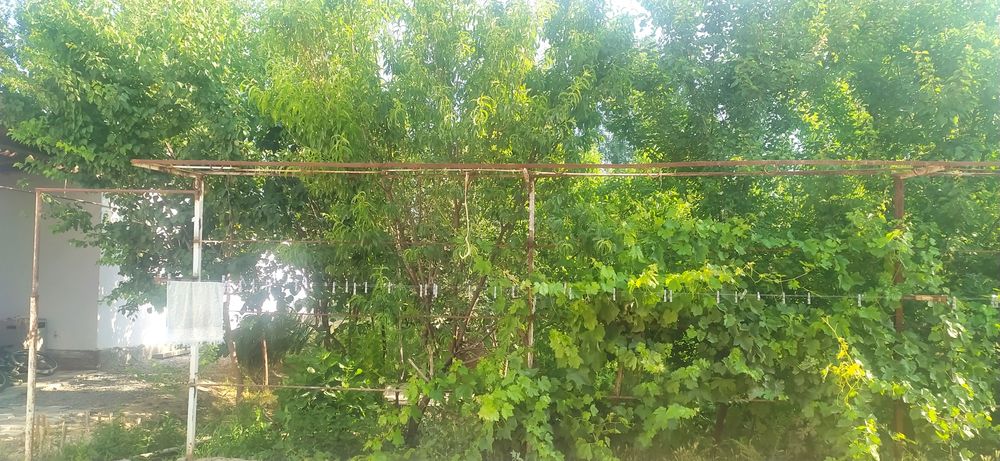 Уй сотилади карапчида мачит оркасида