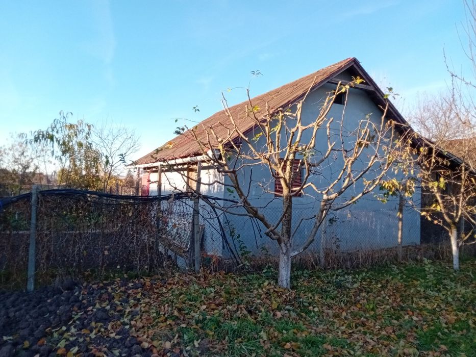 Gradinar/ Giardiniere cu 7 ani de experiență in Italia