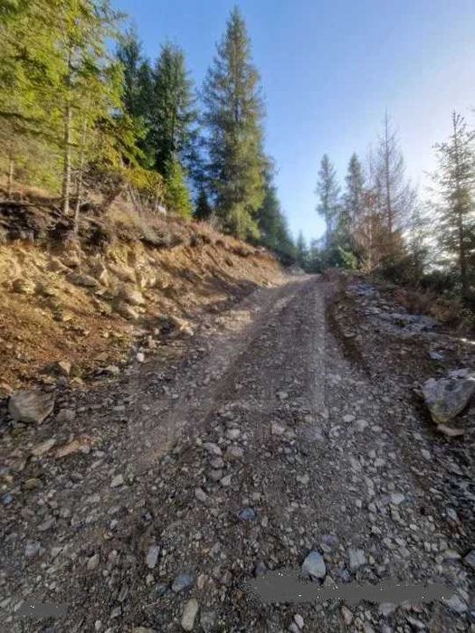 Teren extravilan Poiana Horea