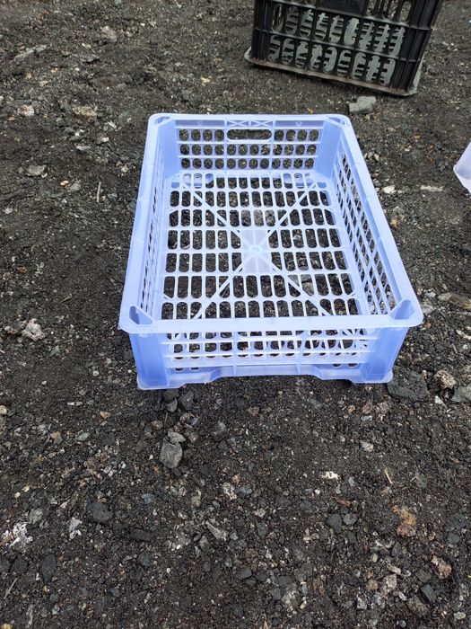 Ящики пластмассовые б/у.