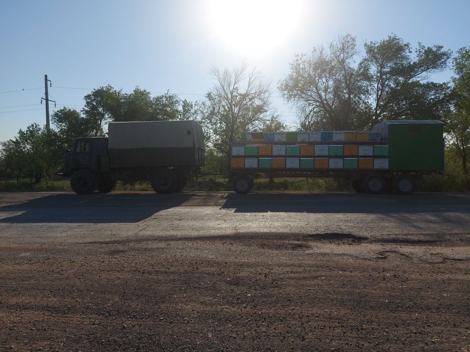 Продам пчелоприцеп