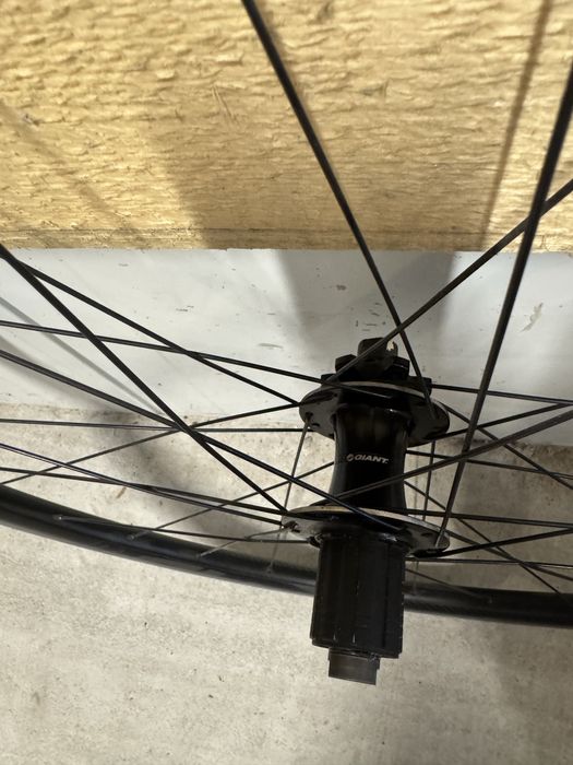 Roti cursiera disc Giant PA2