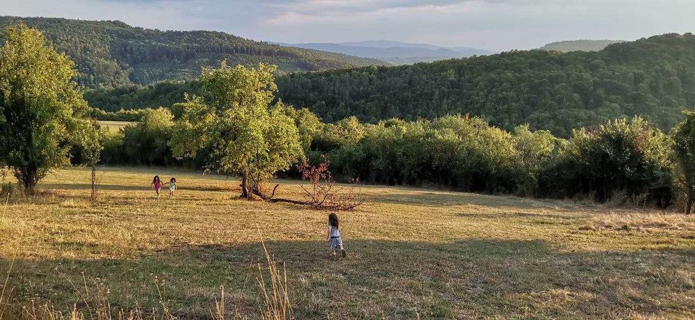 Продава се Къща в с. Чеканци, Област Търговище - 100 кв.м за 255 €/кв.м - Снимка #2