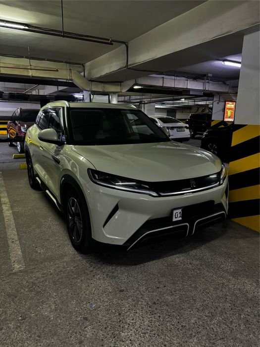 BYD yuan up 2024