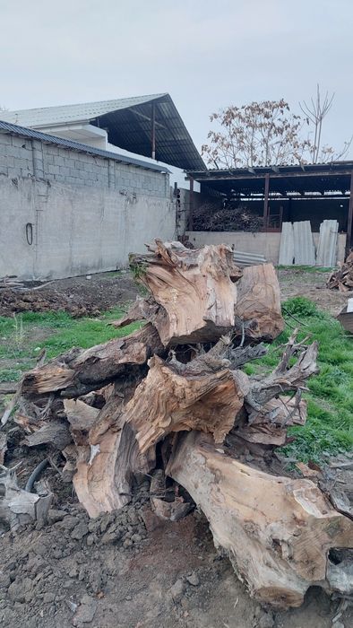 Дрова сухие Утин