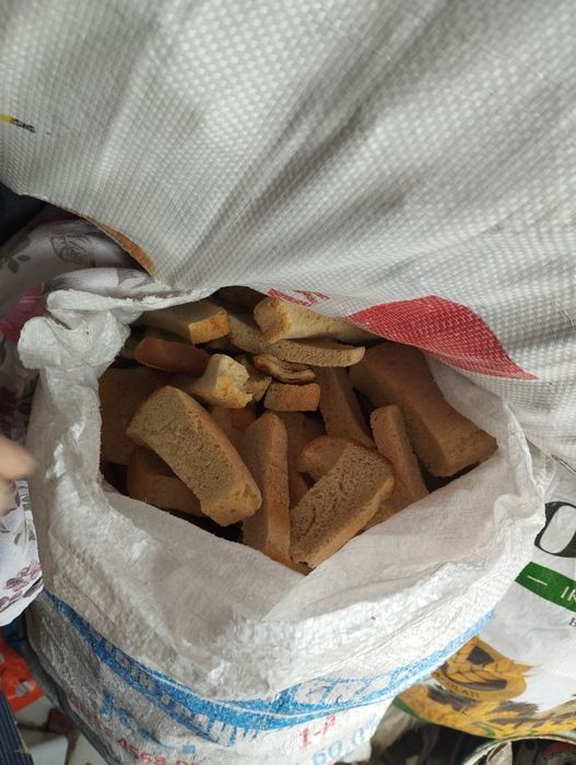 Qotgan non bor 45 ming soʻmdan uch qop bor toza non