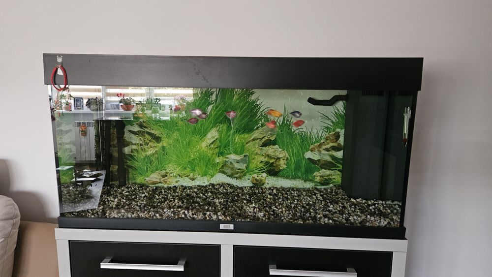 Vind acvariu Juwel rio 180