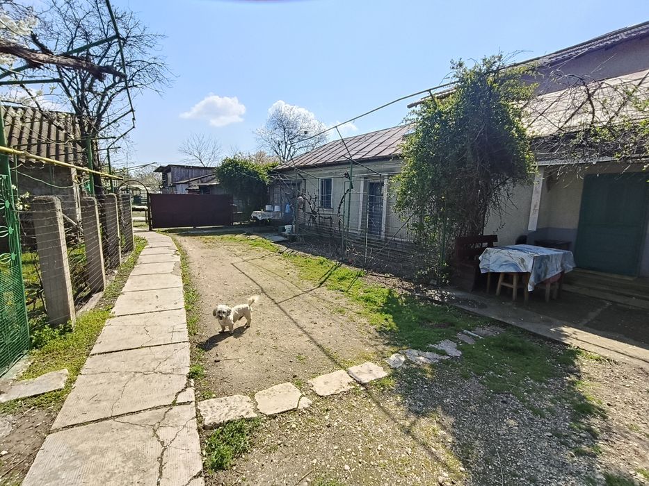 Casă de vânzare in Rosiori de Vede Teleorman  (doua case/curte de 1500mp)