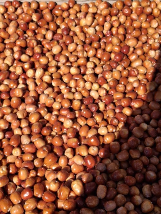 Жиде сатылады  ірі дәмді 2000тг кг.