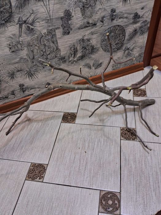 Коряга для аквариума