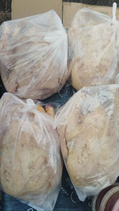 Продам тушки цыплят бройлеров