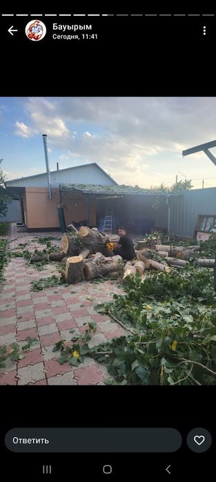 Спил деревьев не дорого Алматы