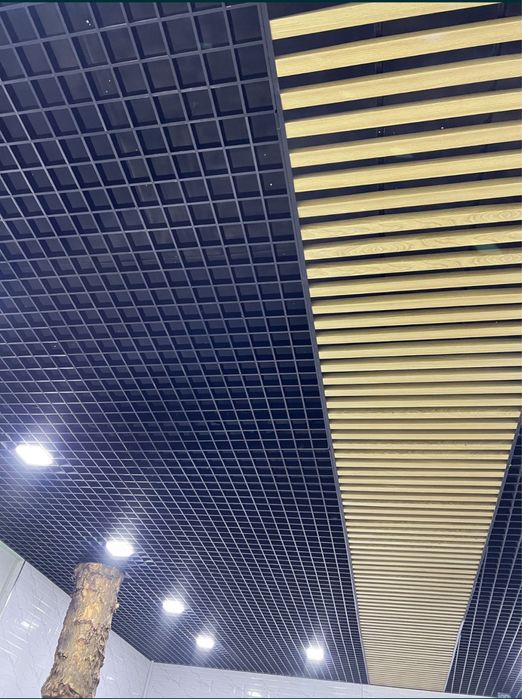 Tunikabond  grilyata