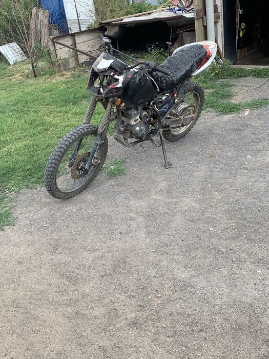 Зид 2019 Лис 250 куб