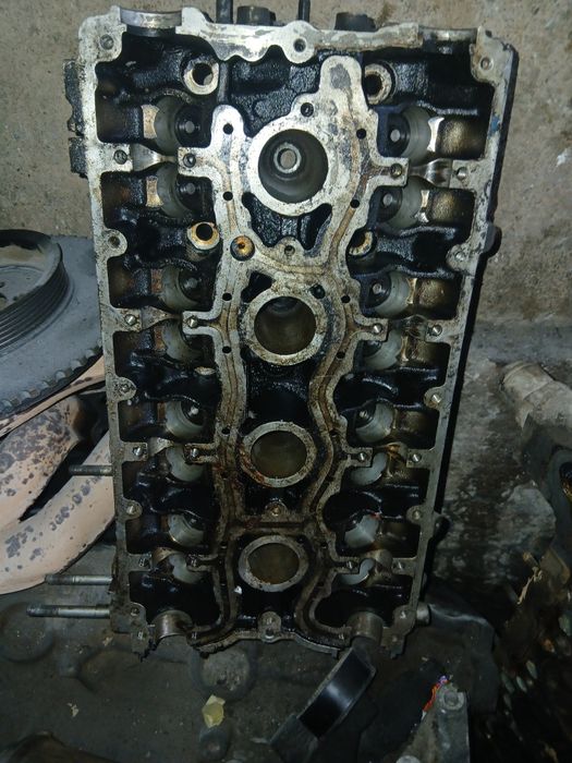 Галофка приора десатка