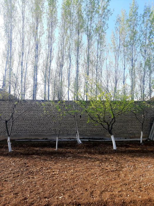 Продаётся участок земли под строительство.