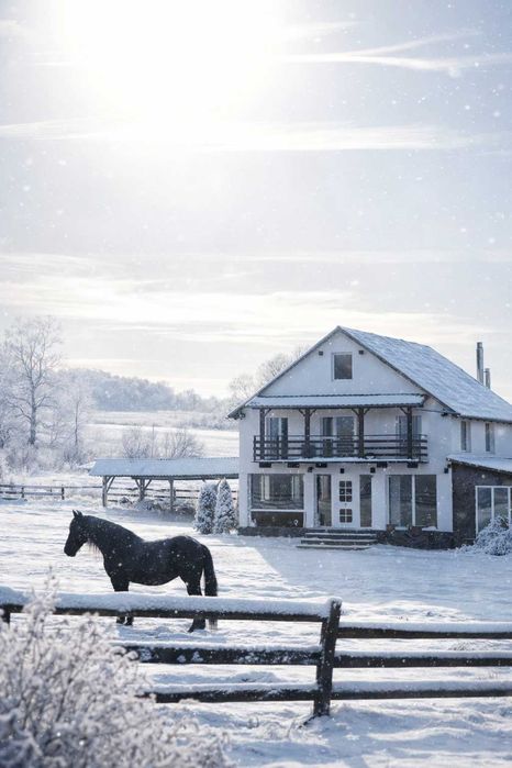 Cabana / locatie de evenimente si cazare