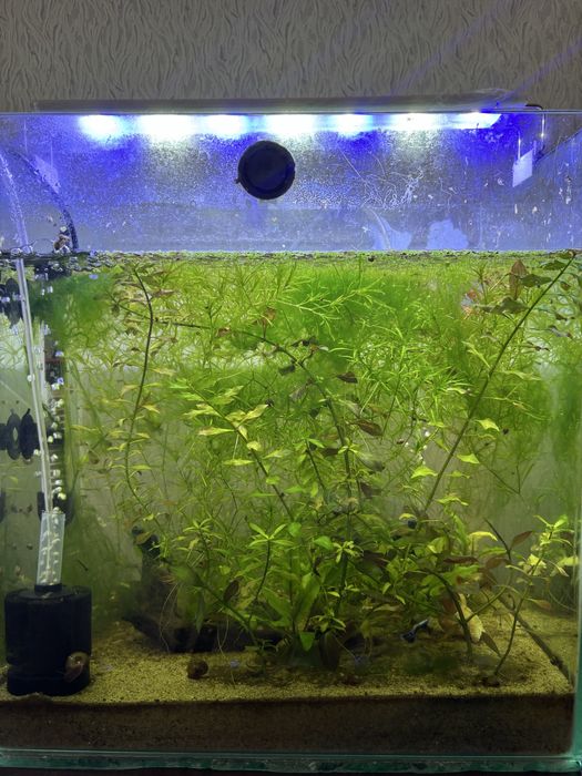 Продам аквариум на 40-45 литров