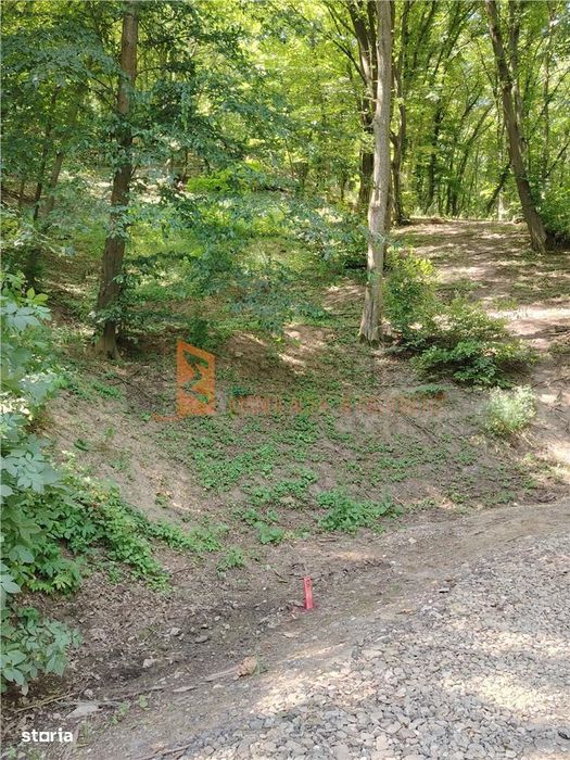 Teren intravilan zona Monteoru