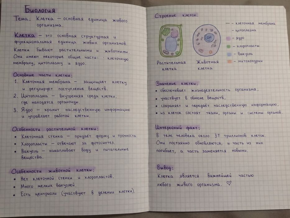 Делаю красивые конспекты от руки