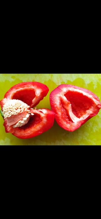 Семена перца сладкого,горького