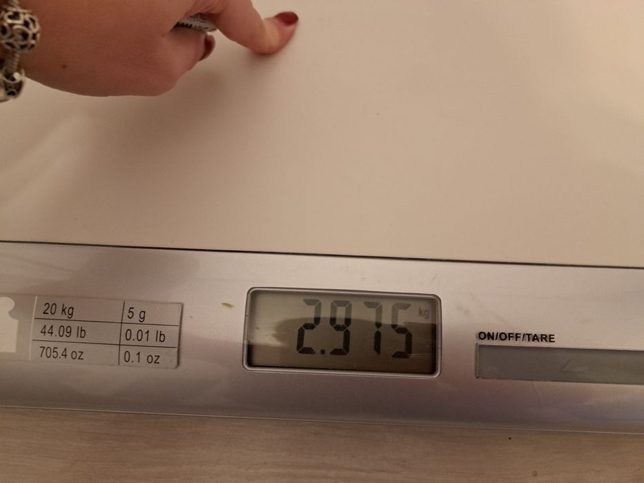 Cantar bebelusi Laica