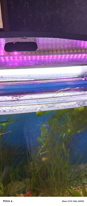 Аквариум 120 литров.