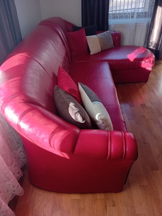 Coltar extensibil piele