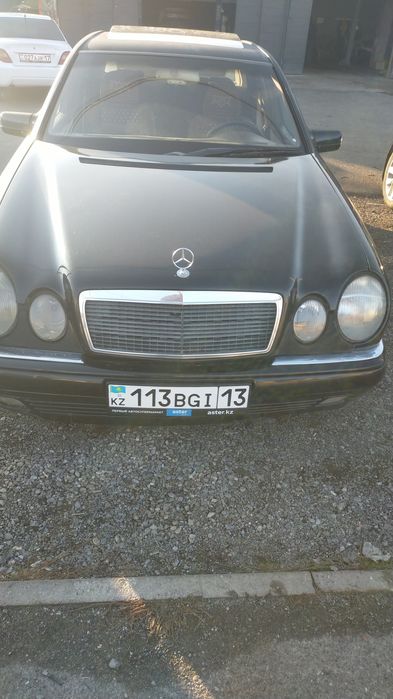 Мерседес лупарик