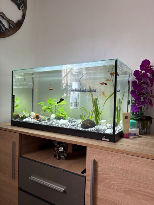 Vand Acvariu 120 Litri Complect