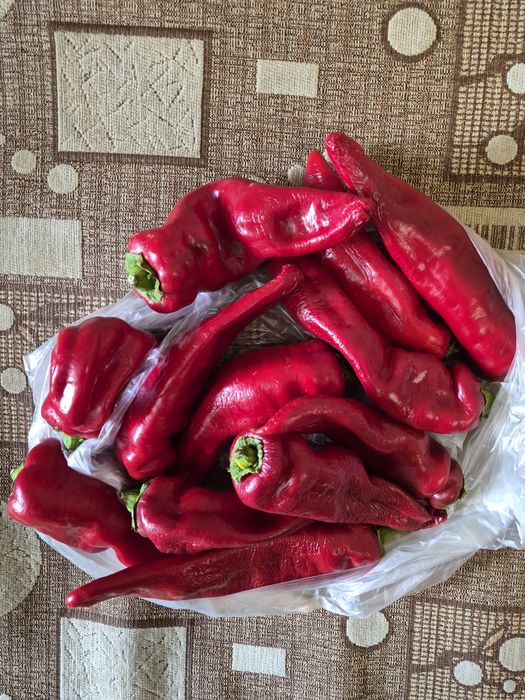 Продается перец дунганский