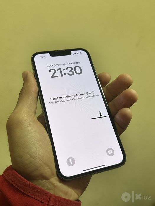 Iphone 13 pro ideal