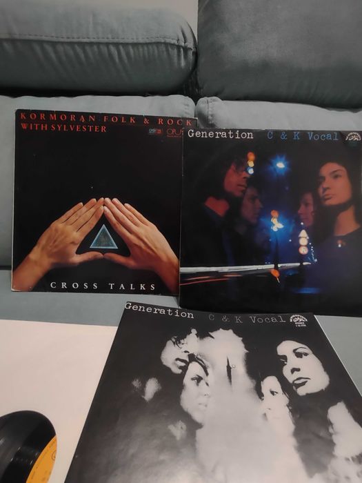 Viniluri muzica Rock &Folk veche stare foarte bună