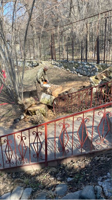 Спил деревьев Обращайтесь