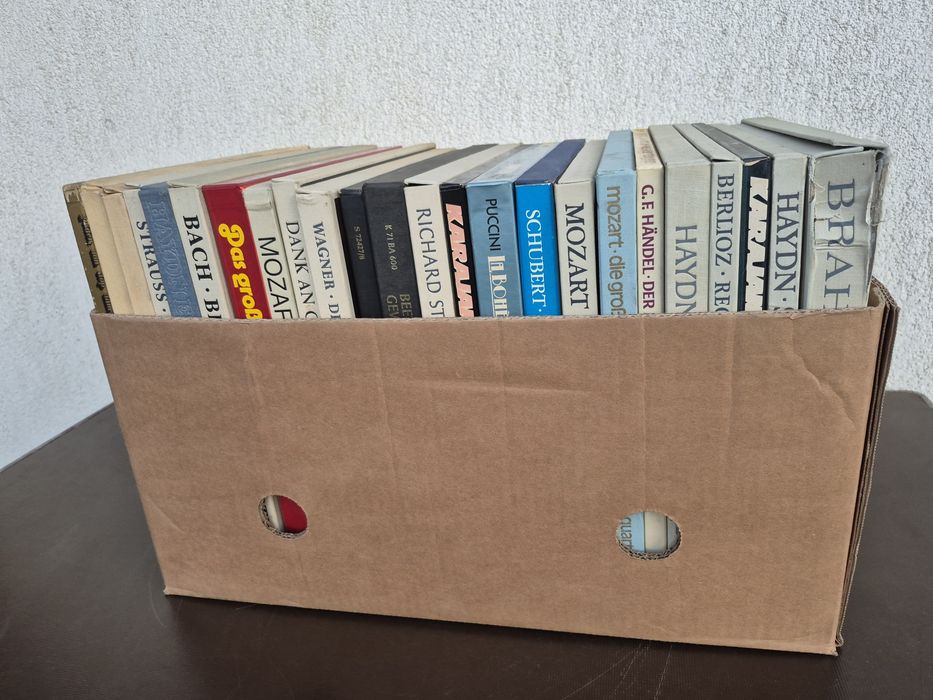 Vând Lot 150lp Discuri Vinil cu muzică clasică mixta 

Artiști:

- Fra