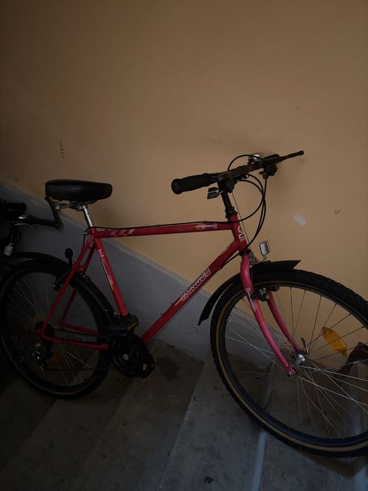 Bicicleta Adulti