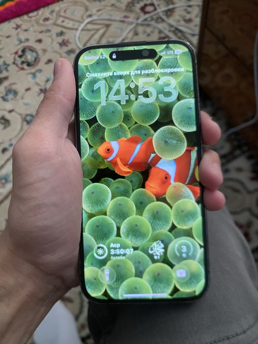Айфон      14Pro
