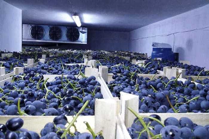 Сэндвич-панели ППУ для холодильных, морозильных камер от производителя