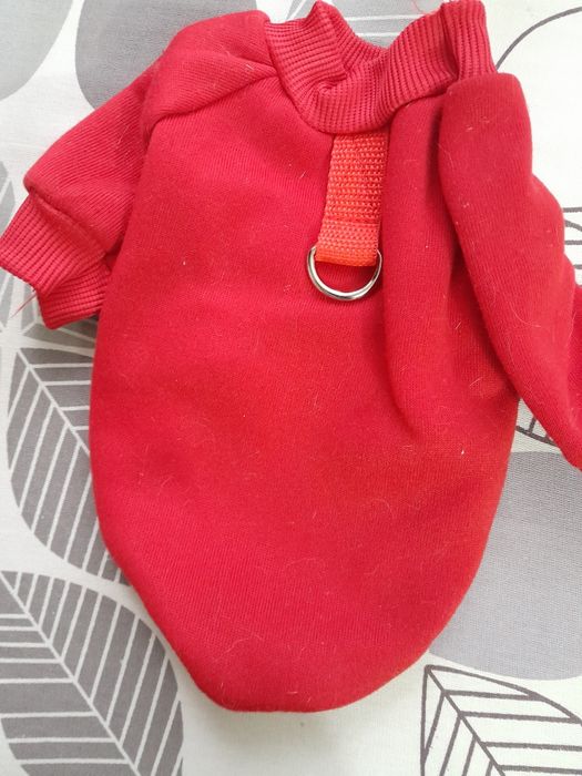 Вещи для маленьких собачек