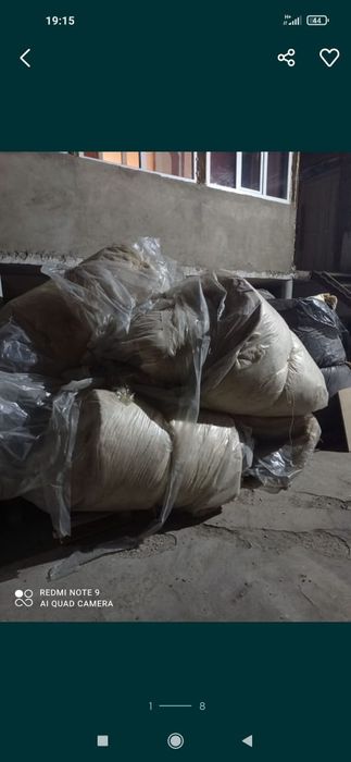 Продам минвата урса