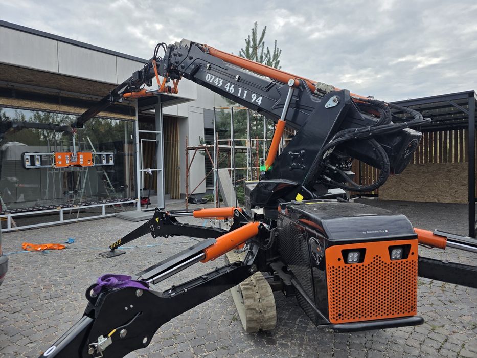 Minimacara macara spiders