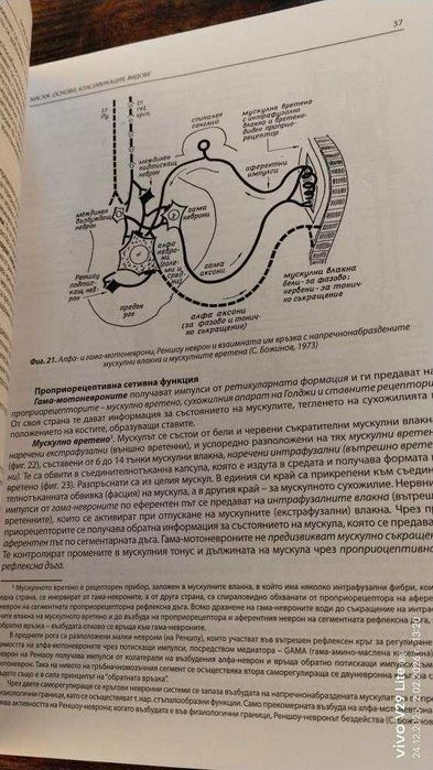 масаж- основи,класификация,видове - проф. Видьо Василев Желев